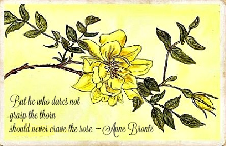 Yellow Rose DM Denton 3 with text