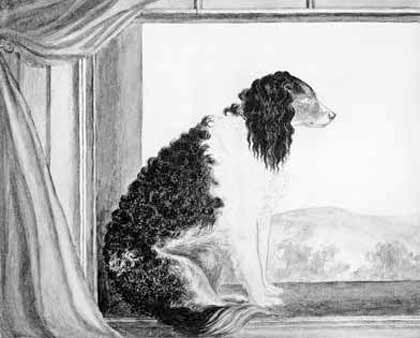 Anne Bronte’s unfinished portrait of her dog, Flossy